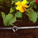 Drip Irrigation