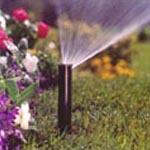 Grass and Shrub Bed Spray Heads